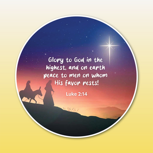 Loyalty Offer | Special Edition Disc Set: The Meaning of Christmas-6 Discs
