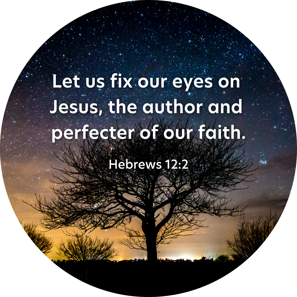 Disc Set 3 | The Lord Jesus | Disc 5 | Hebrews 12:2