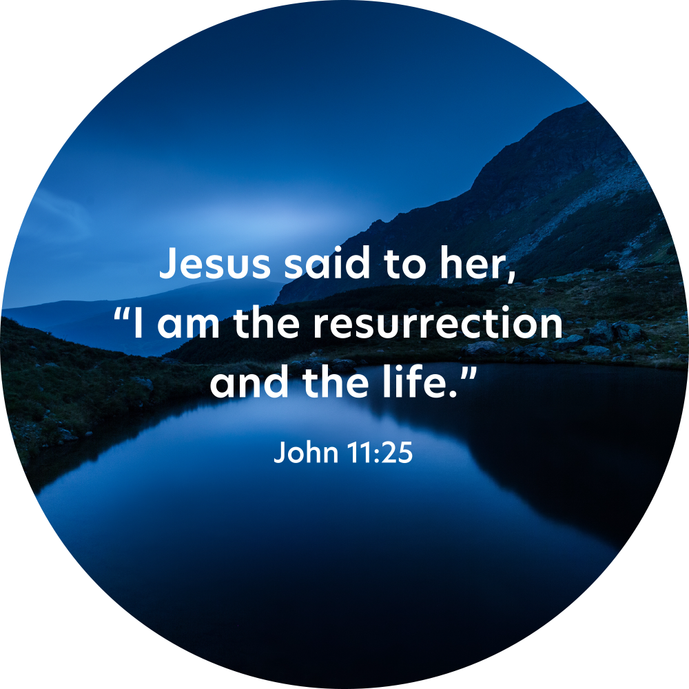 Disc Set 3 | The Lord Jesus | Disc 2 | John 11:25