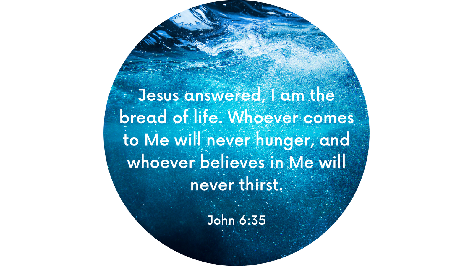 Disc Set 4 | The Lord Jesus 2 | Disc 5 | John 6:35