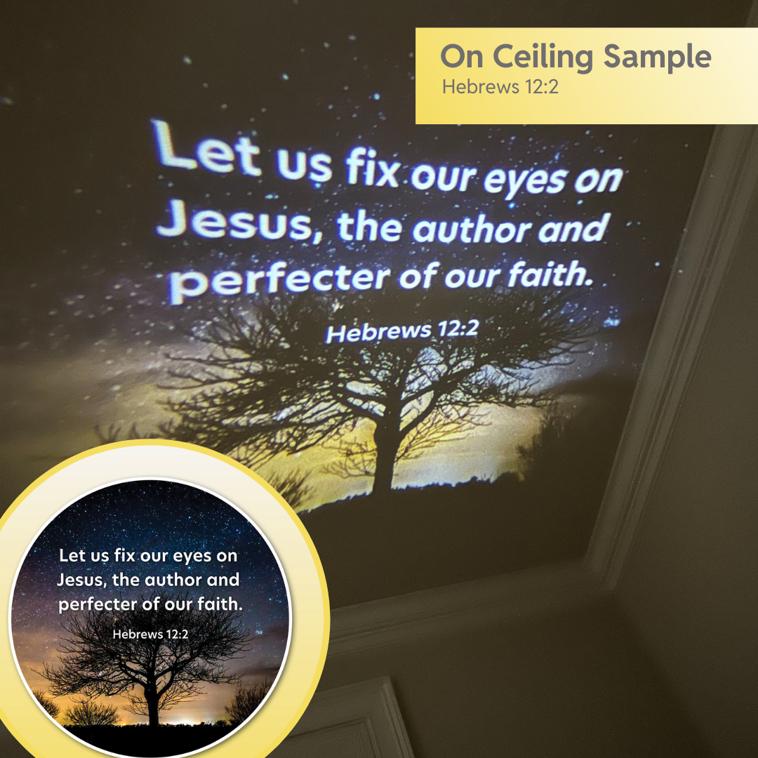 Disc Set 3: The Lord Jesus (Part 1 of 2), 6 Discs