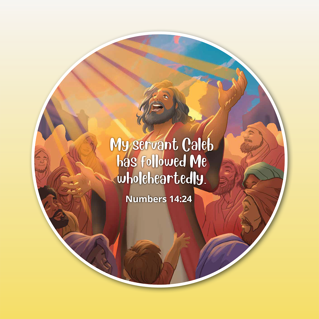 Special Edition Disc Set: Heroes of the Faith - Boys, 6 Discs