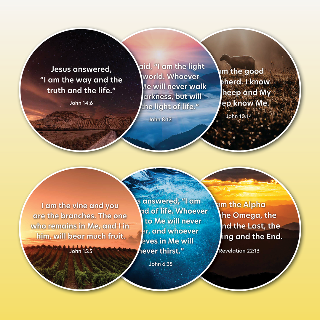 Disc Set 4: The Lord Jesus (Part 2 of 2), 6 Discs