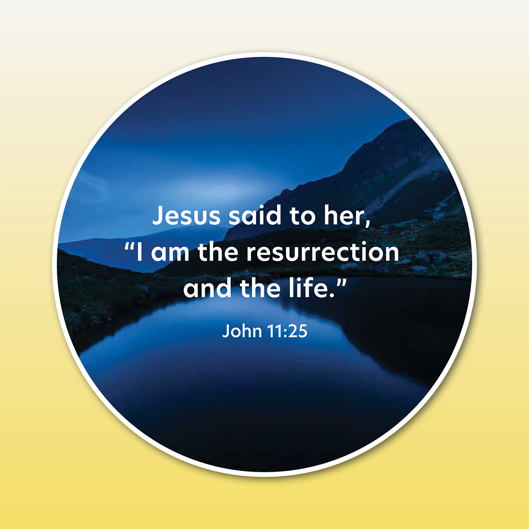 Disc Set 3: The Lord Jesus (Part 1 of 2), 6 Discs