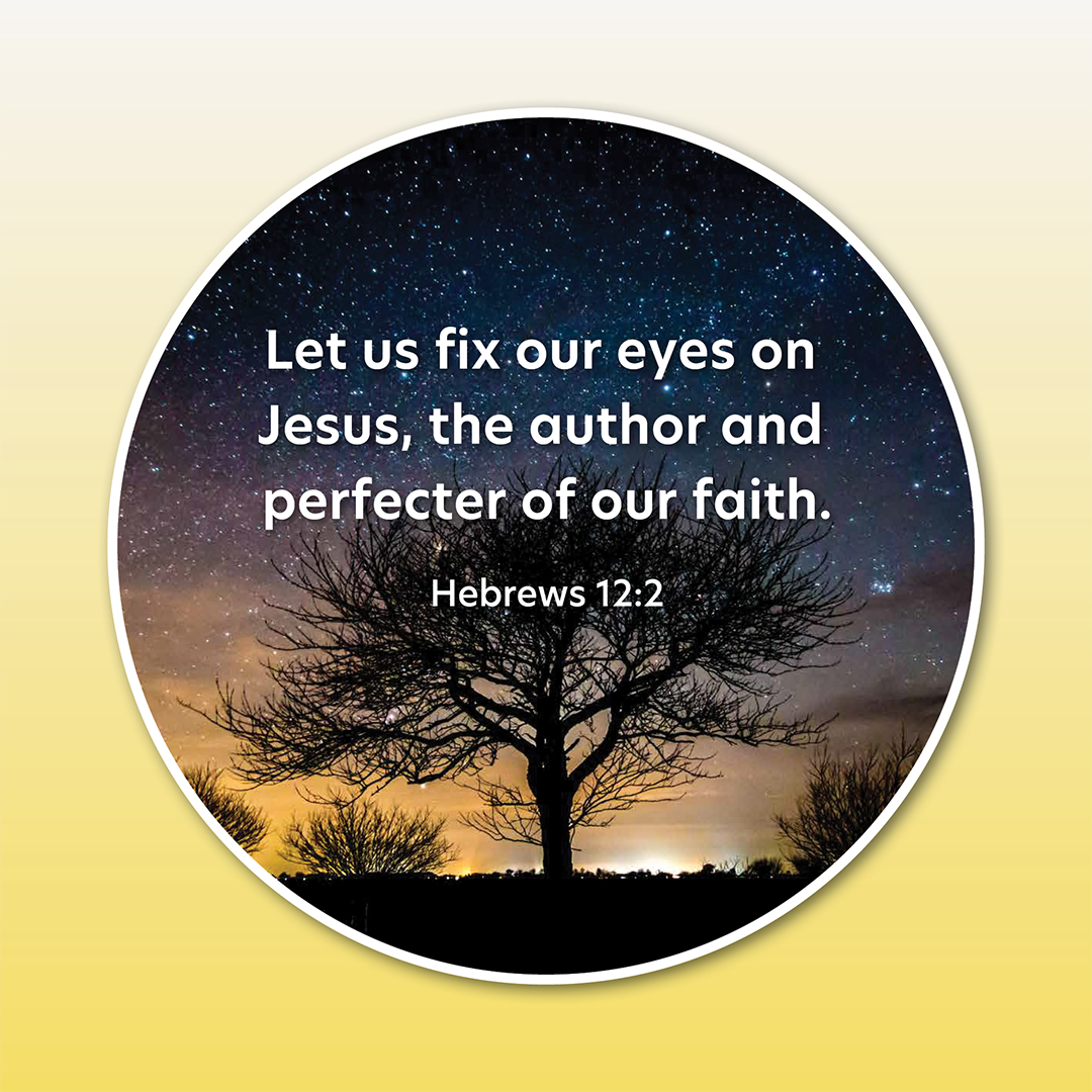 Disc Set 3: The Lord Jesus (Part 1 of 2), 6 Discs