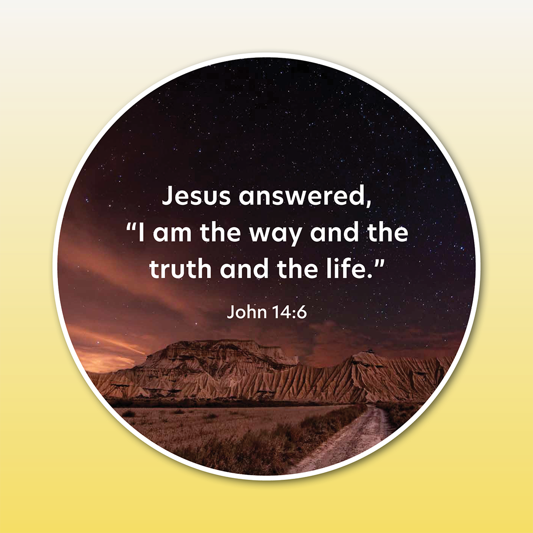 Disc Set 4: The Lord Jesus (Part 2 of 2), 6 Discs