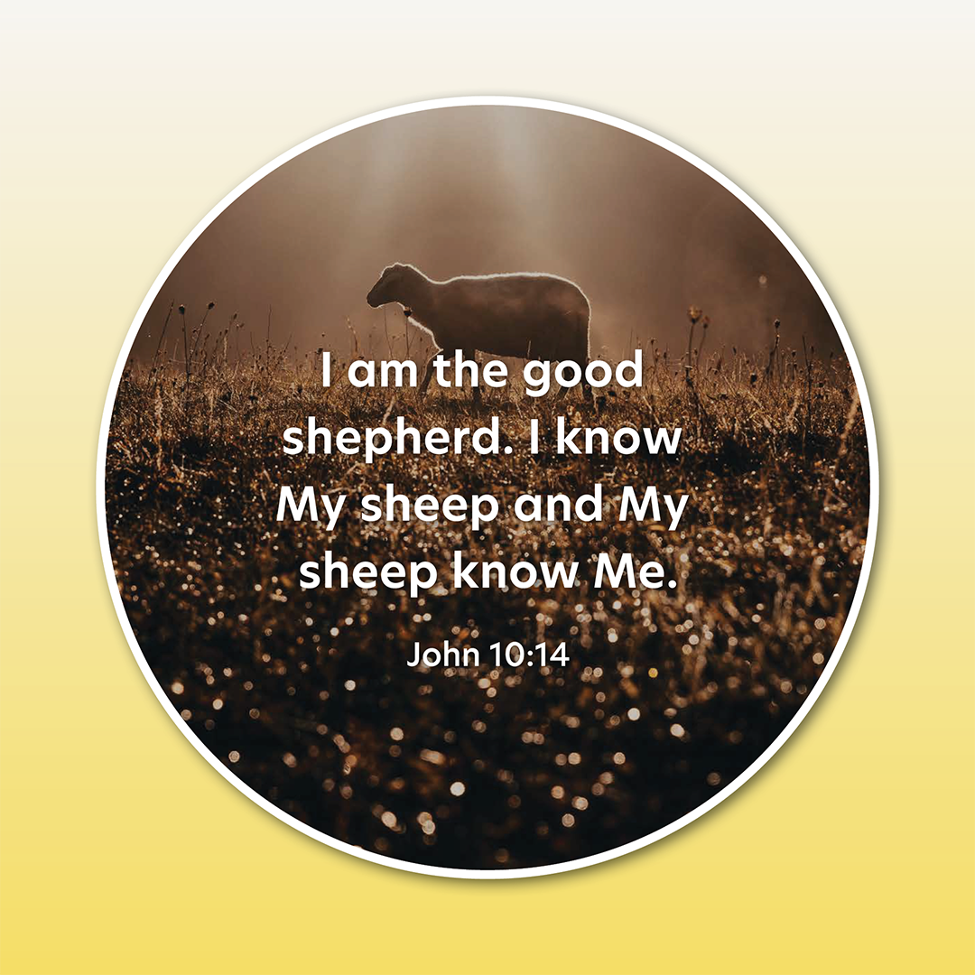 Disc Set 4: The Lord Jesus (Part 2 of 2), 6 Discs