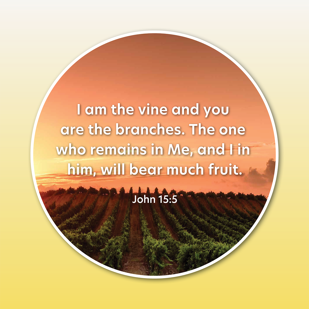 Disc Set 4: The Lord Jesus (Part 2 of 2), 6 Discs