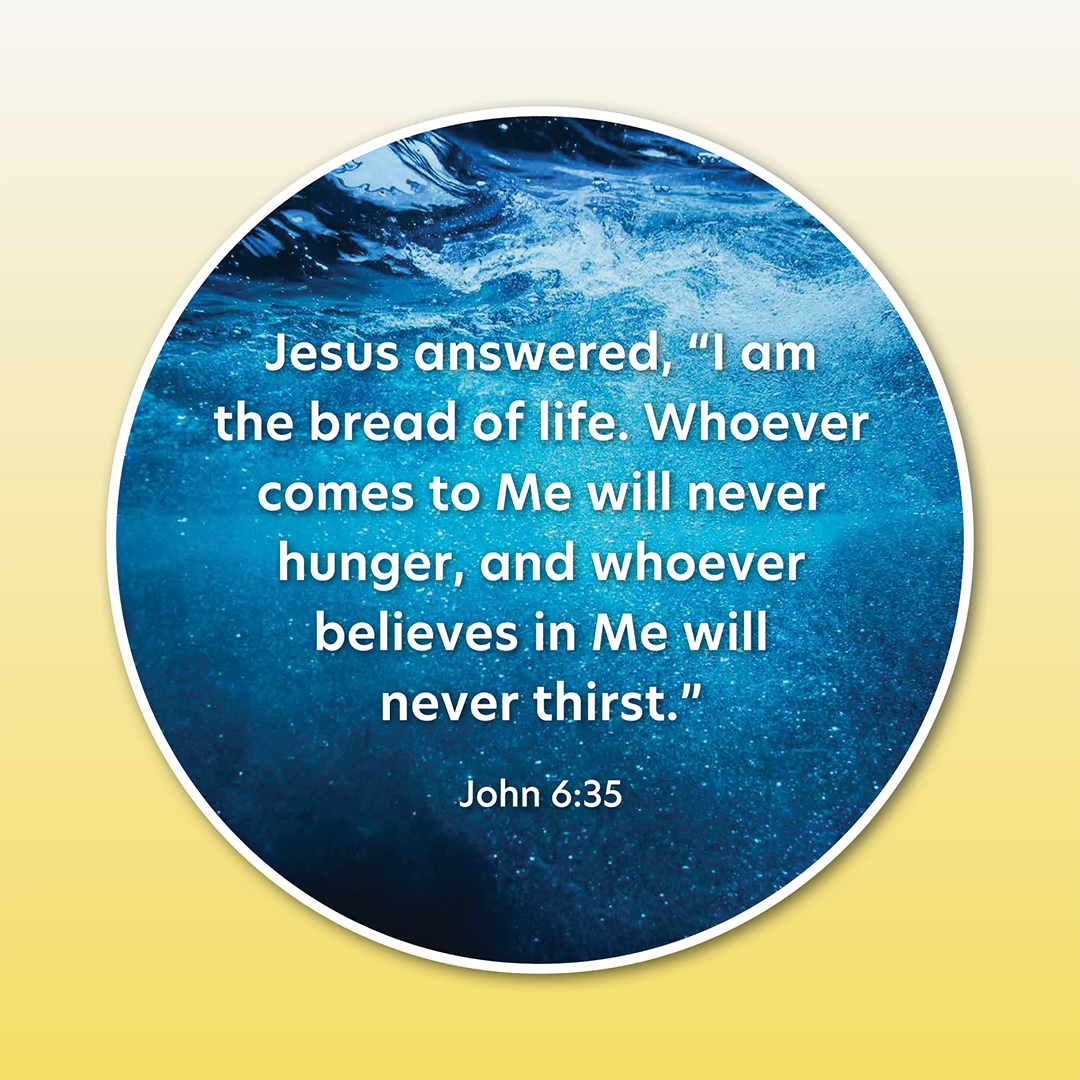 Disc Set 4: The Lord Jesus (Part 2 of 2), 6 Discs