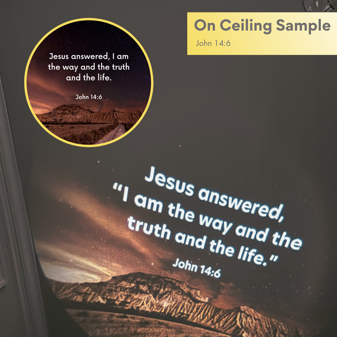 Disc Set 4: The Lord Jesus (Part 2 of 2), 6 Discs