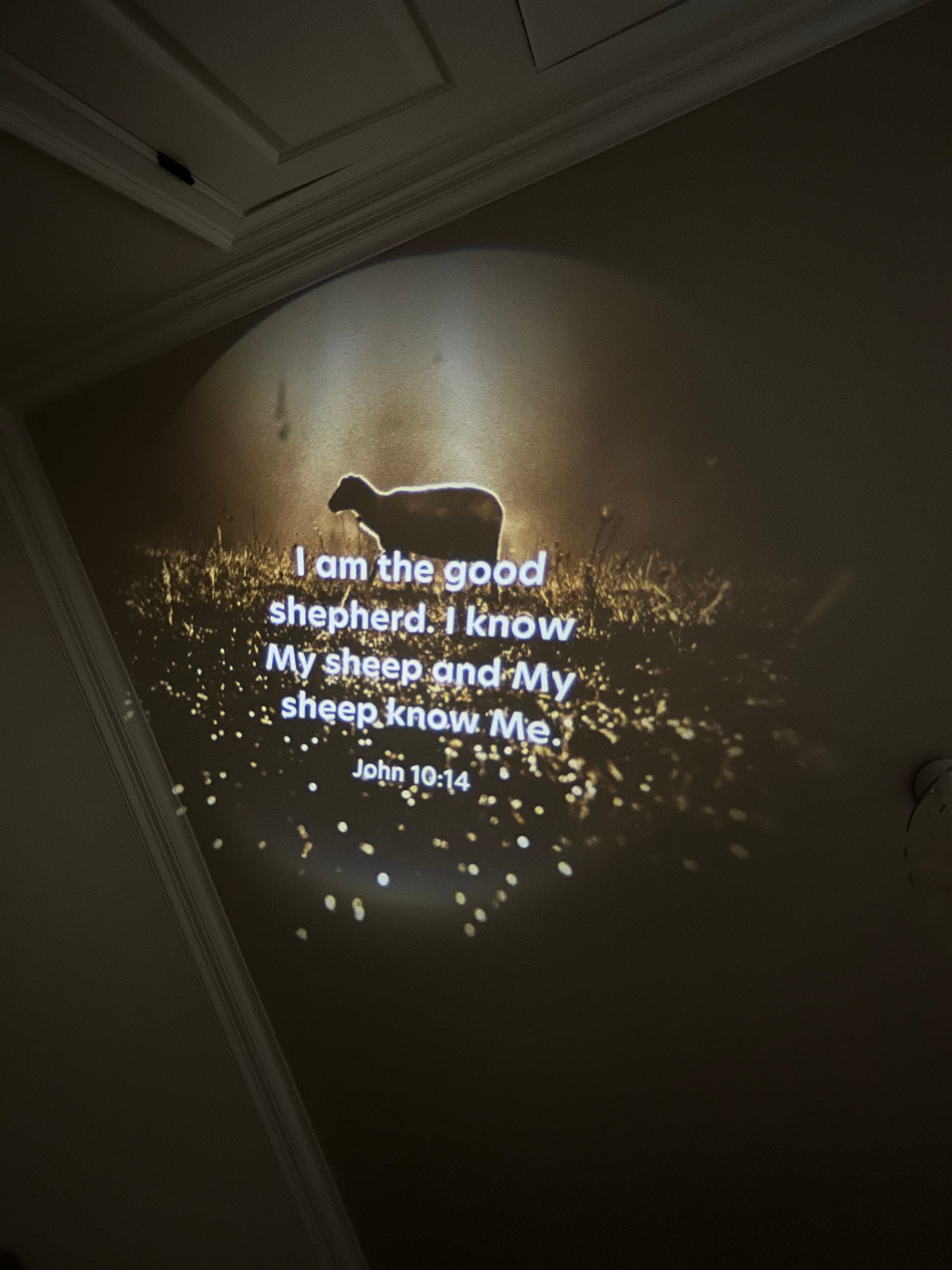 Disc Set 4: The Lord Jesus (Part 2 of 2), 6 Discs