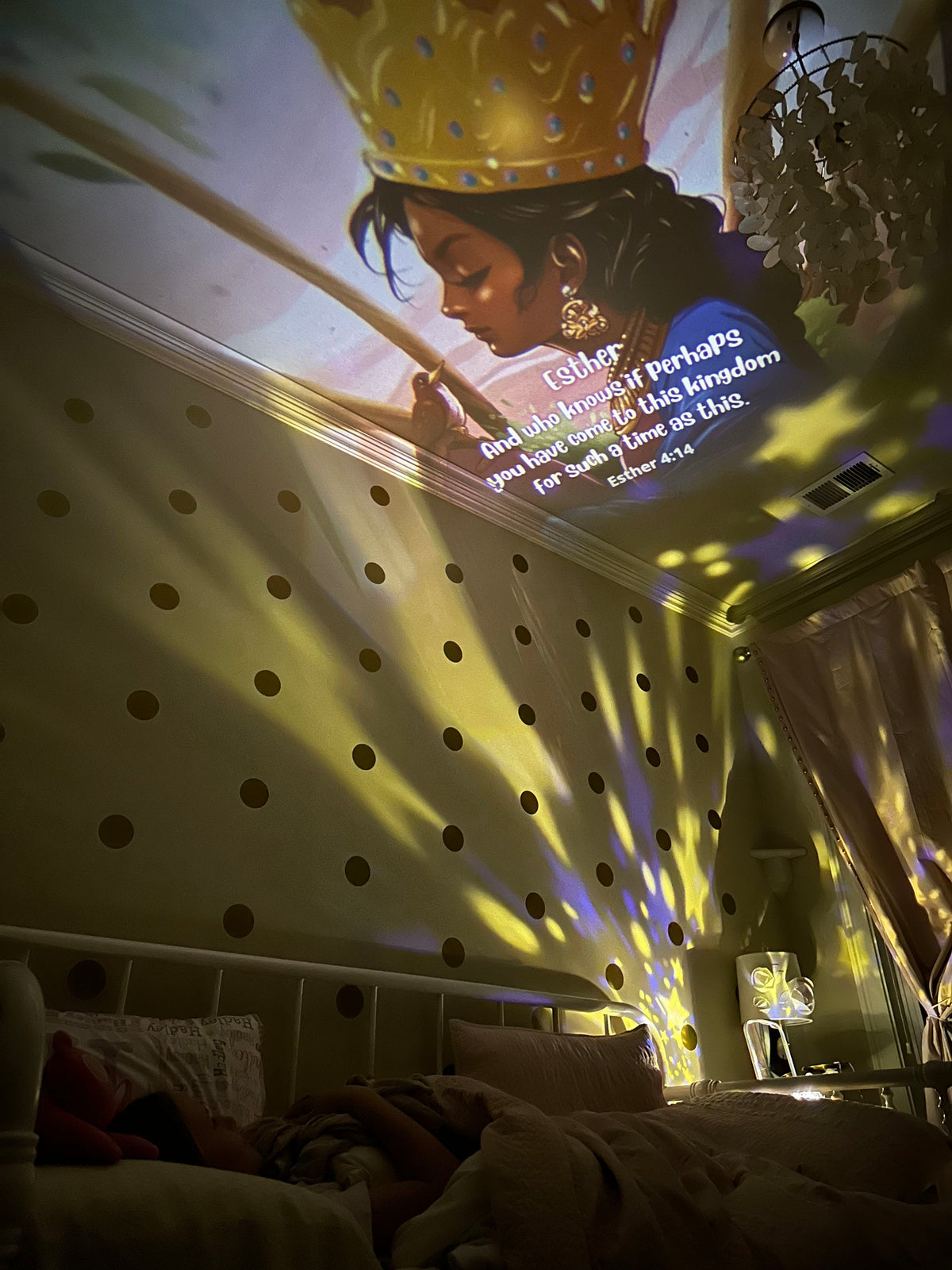 Special Edition Disc Set: Heroes of the Faith - Girls, 6 Discs