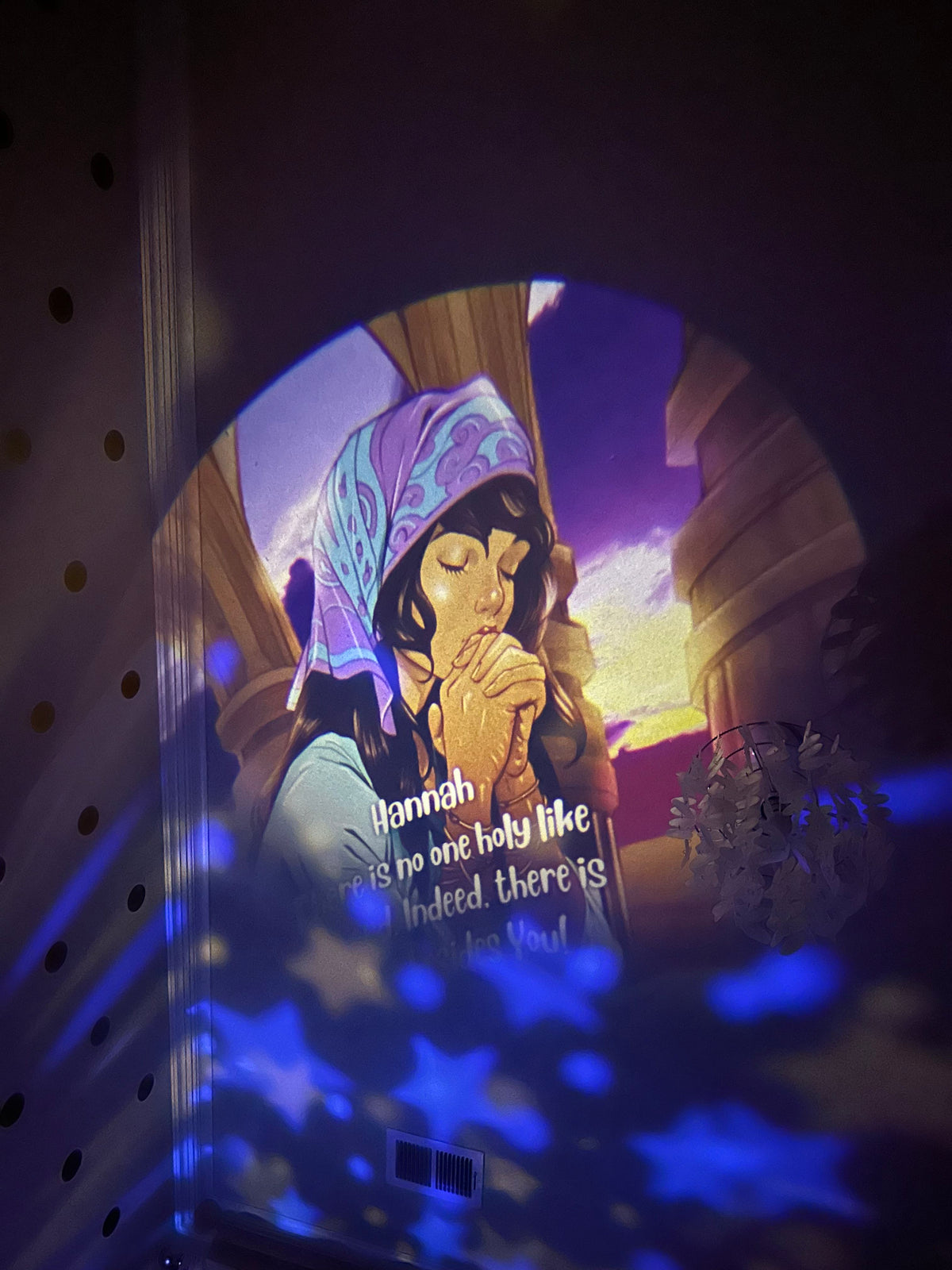 Special Edition Disc Set: Heroes of the Faith - Girls, 6 Discs