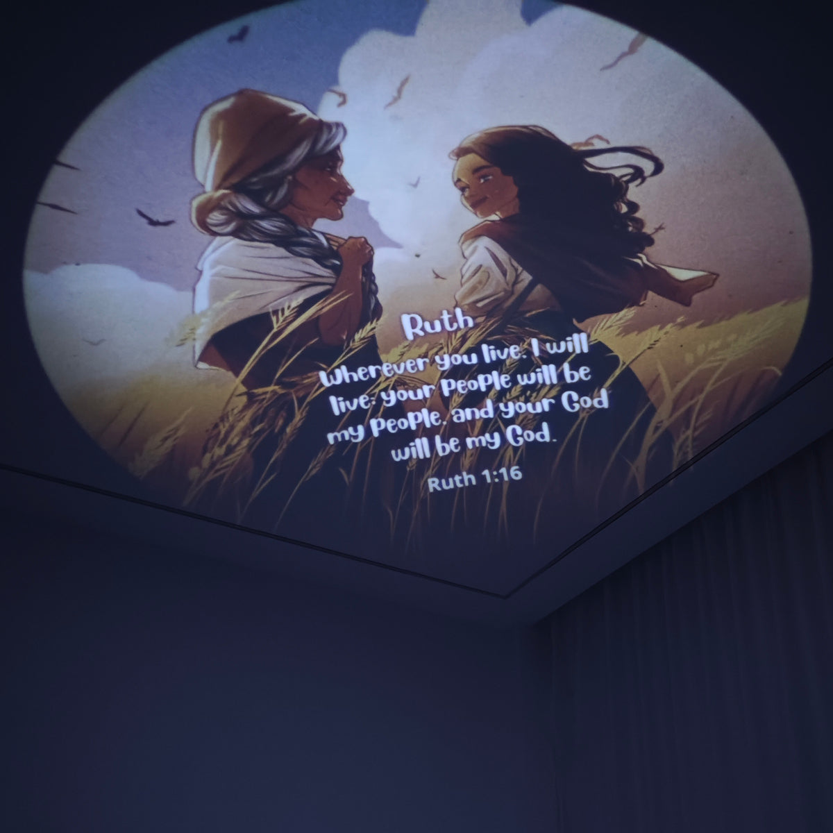 Special Edition Disc Set: Heroes of the Faith - Girls, 6 Discs